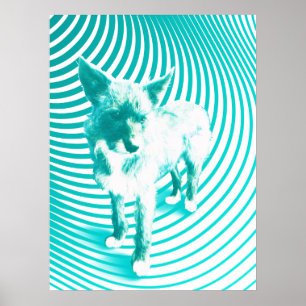 teal skräcker poster
