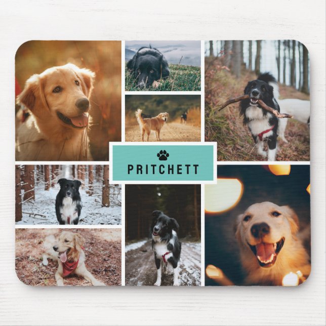 Teal Tass Hund Photo Collage & Monogram Musmatta (Framsidan)