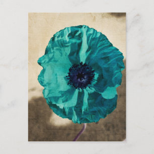 Teal Vallmo Postkort Vykort