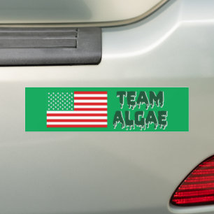 Team Algae Reflekterande Pool Rolig Anti-Trump Bildekal