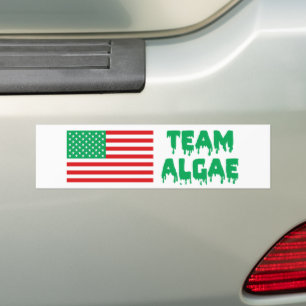 Team Algae Reflekterande Pool Rolig Anti-Trump Bildekal