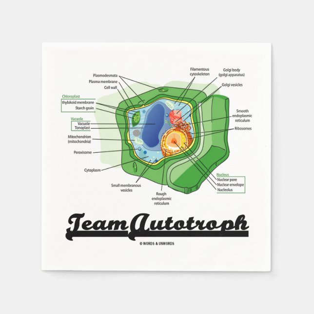 Team Autotroph Plant Cell Biology Humor Pappersservett (Framsidan)