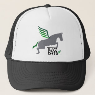 Team Barry Hat Keps