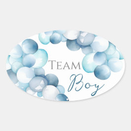 Team Boy Blue arc Watercolor Gender Reveal Ovalt Klistermärke
