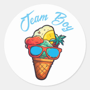 Team Boy Gender Reveal Party Vote Ice Cream Runt Klistermärke