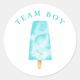 Team Boy Gender Reveal Party Vote Runt Klistermärke