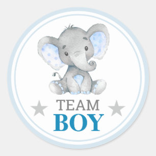 Team Boy I Vote Gender Reveal Baby Shower Sprinkle Runt Klistermärke