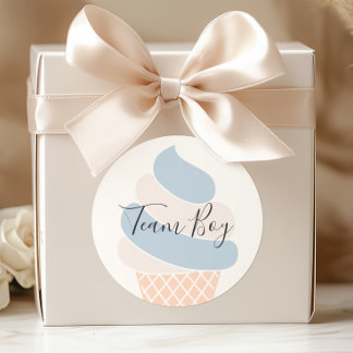 Team Boy Ice Cream Pastel Färg Gender Reveal Runt Klistermärke