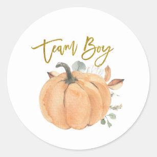 Team Boy Pumpkin Gender Reveal-etikett Runt Klistermärke