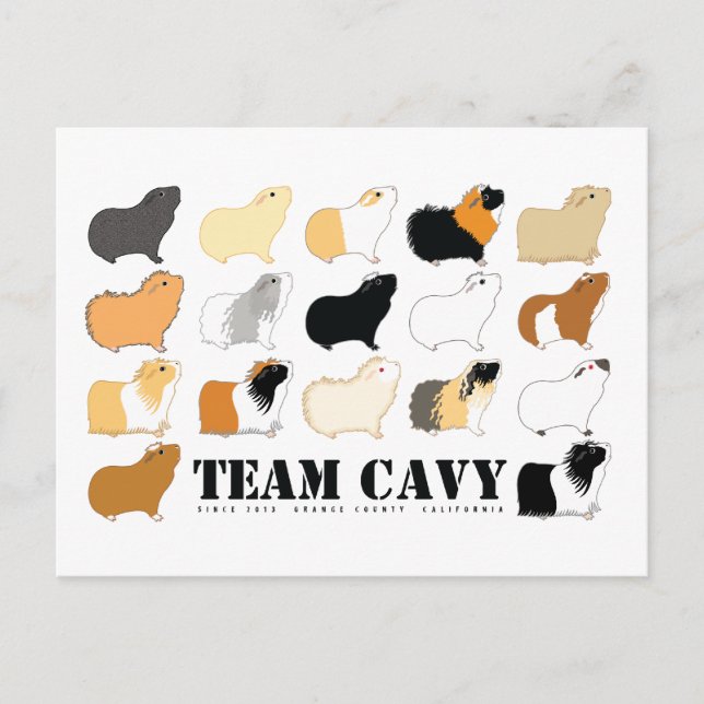 TEAM CAVY VYKORT (Framsida)