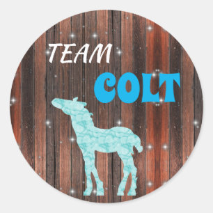 "Team Colt" Colt Gender Reveal Runt Klistermärke