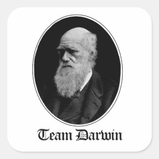 Team Darwin Fyrkantigt Klistermärke