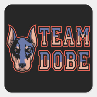 Team Dobe Fyrkantigt Klistermärke