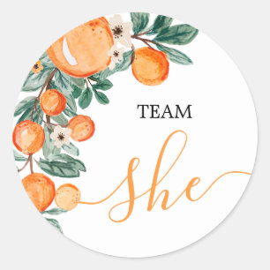 TEAM Gender Reveal Citrus Orange-etiketter Runt Klistermärke