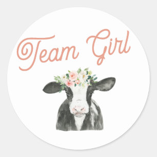 Team Girl Cow Farm Gender Reveal Sticker Runt Klistermärke