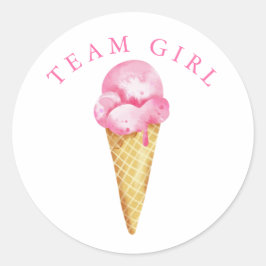 Team Girl Gender Reveal Party Vote Ice Cream Runt Klistermärke