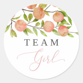 Team Girl Gender Reveal Party Vote Peach Runt Klistermärke