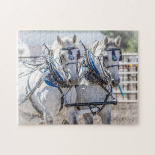 Team Grått Perchon Draft Horses Pussel