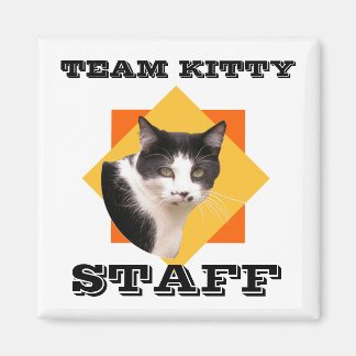 Team Kattunge PERFF Magnet