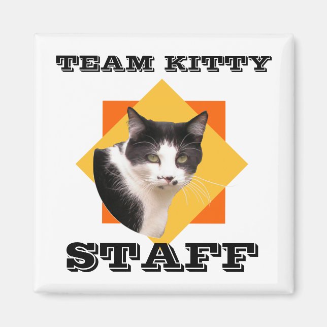 Team Kattunge PERFF Magnet (Framsidan)