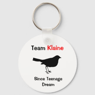 Team Klaine Nyckelring