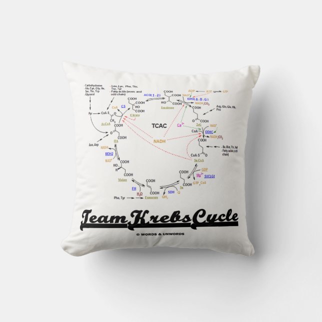 Team Krebs Cycle Biochemistry Geek Humor Kudde (Framsida)