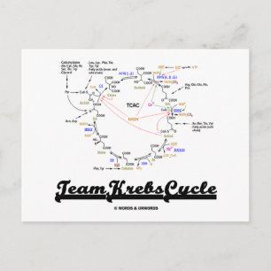Team Krebs Cycle (Citric Acid Cycle - TCAC) Vykort