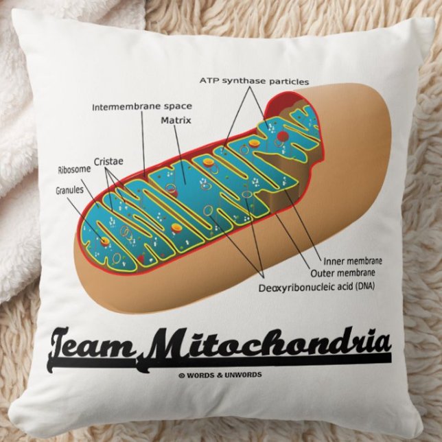 Team Mitochondria (Mitochondrion Humor) Kudde (Team Mitochondria throw pillow for any exerciser who knows that mitochondria power ourselves!)