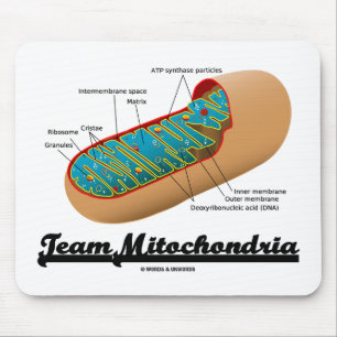 Team Mitochondria Mitochondrion Humor Musmatta