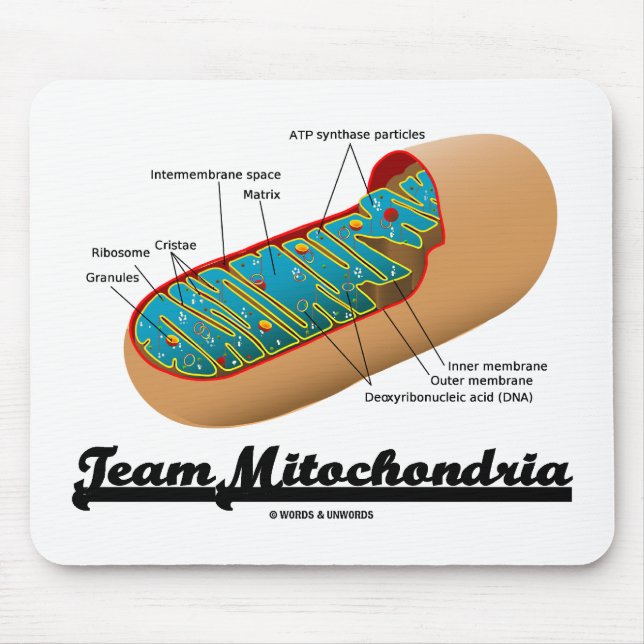 Team Mitochondria Mitochondrion Humor Musmatta (Framsidan)