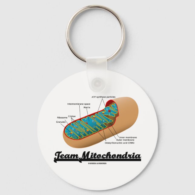 Team Mitochondria (Mitochondrion Humor) Nyckelring (Framsida)