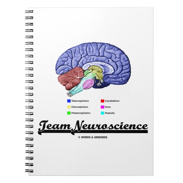 Team Neuroscience (Brain Anatomy Attitude) Anteckningsbok (Framsidan)