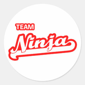 Team Ninja Runt Klistermärke