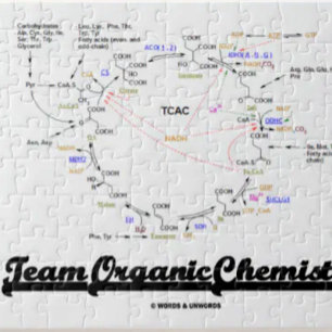 Team Organic Chemistry (Krebs Cycle TCAC) Pussel