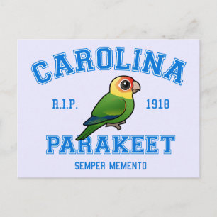Team Parakeet Vykort