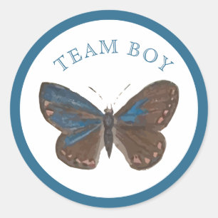 Team Pojke Elegant Butterfly Gender Reveal Runt Klistermärke