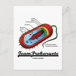 Team Prokaryote (Bacteria) Vykort