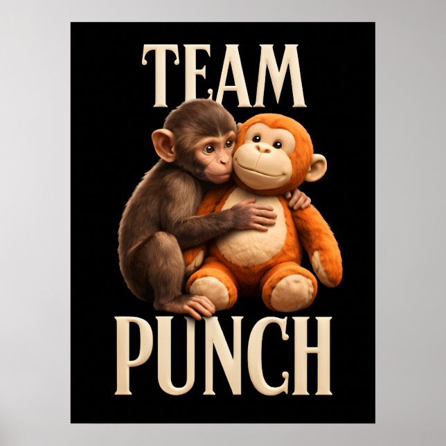 Team Punch Baby Monkey Punch Kul Fight Poster (Framsidan)