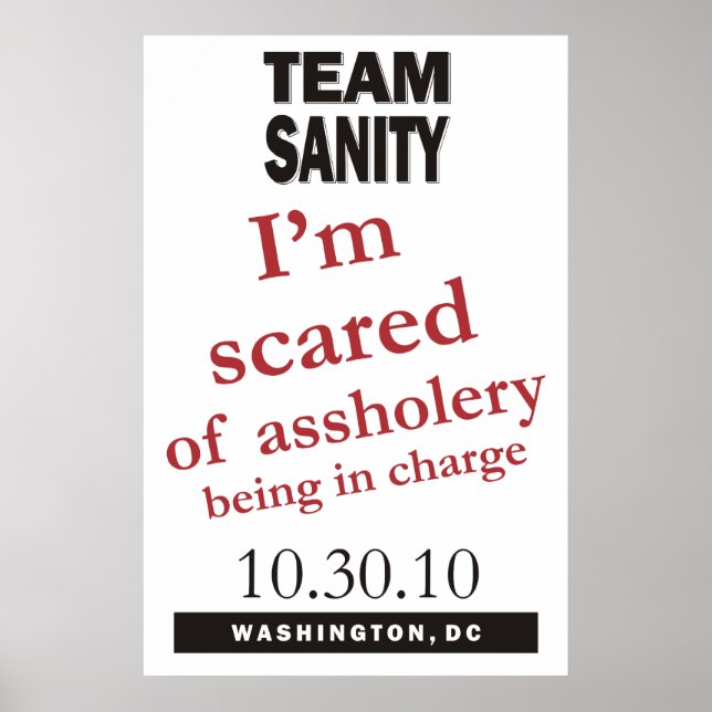 Team Sanity poster (Framsidan)