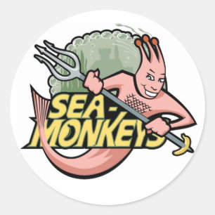 Team Sea-Monkey Runt Klistermärke