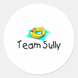 Team Sully Anka Runt Klistermärke