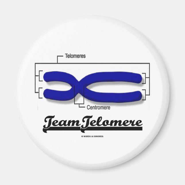 Team Telomere (Biology Humor) Magnet (Framsidan)