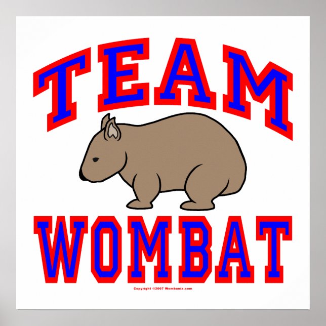 Team Wombat VI Poster (Framsidan)
