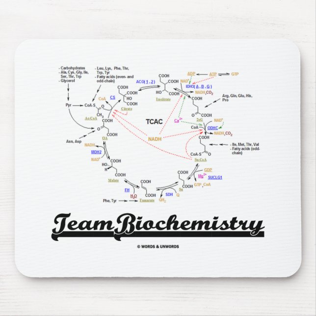 Teambiokemi (kretscykeln för citronsyra) musmatta (Framsidan)