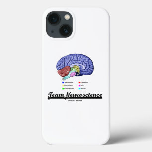 Teamets neuroscience Brain Anatomy Attitude