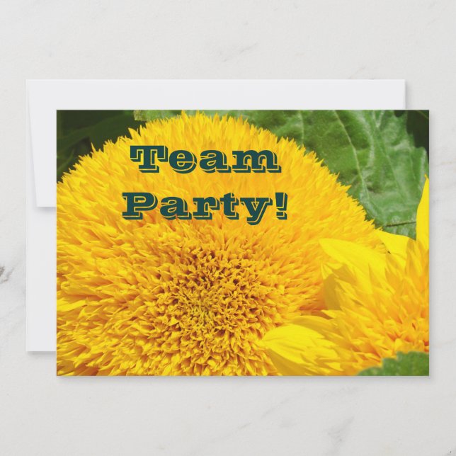 Teamfest! Inbjudningar Solrosor Idrottsskola (Framsida)