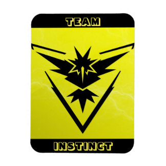 Teaminstinkt POGO Raid Car Magnet