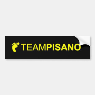 TeamPisano bildekal