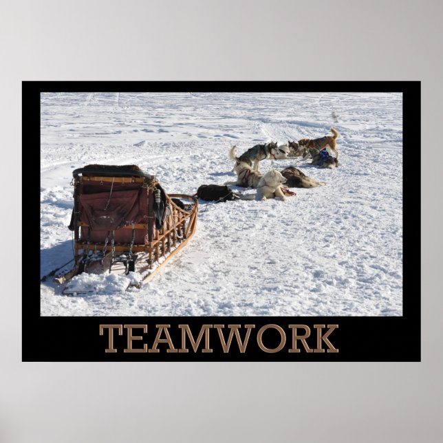 Teamwork Hund Sled Poster (Framsidan)