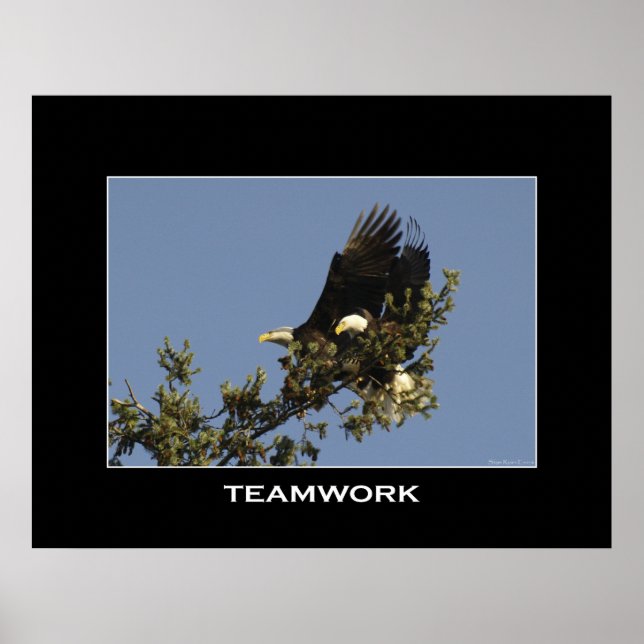 TEAMWORK Motivational Photo Poster (Framsidan)